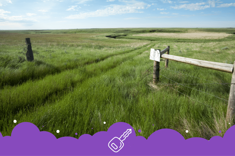 Farmers field in Saskatchewan