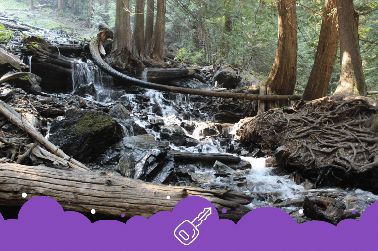 Bad Credit Car Loans in Chilliwack