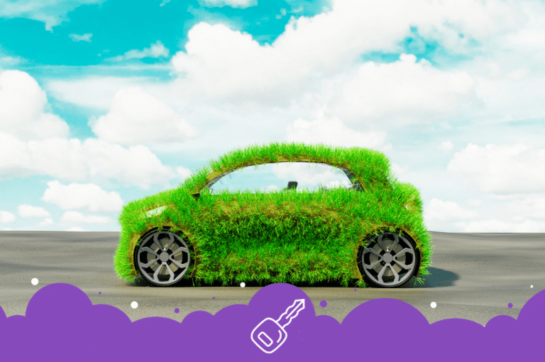 Electric Cars and The Environment