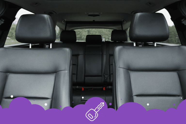 the back seats of a car