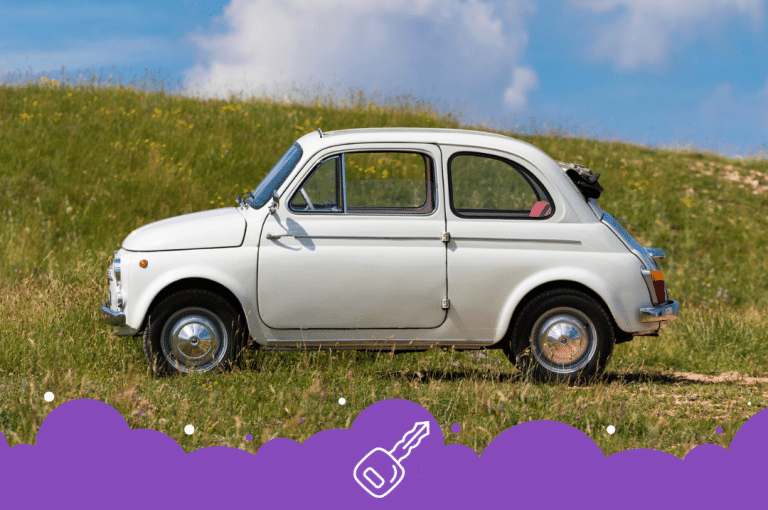 White fist 500 in a field