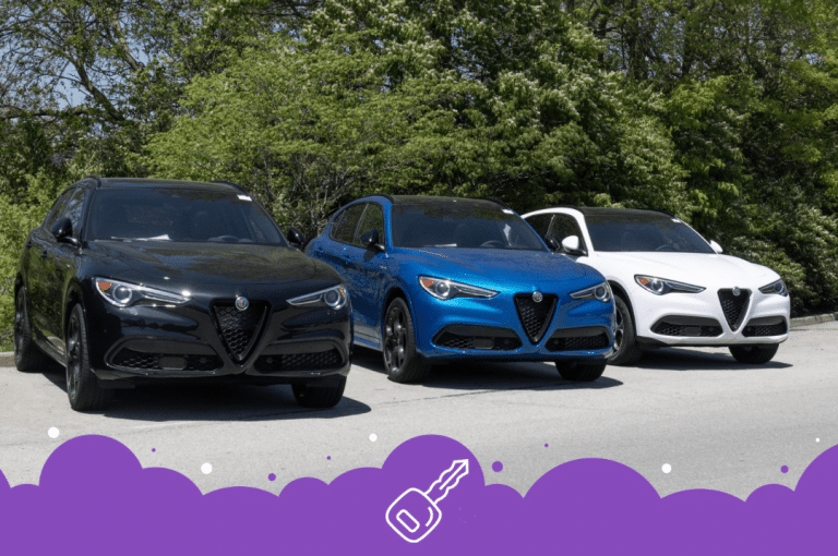 Row of Alfa Romeo stelvio