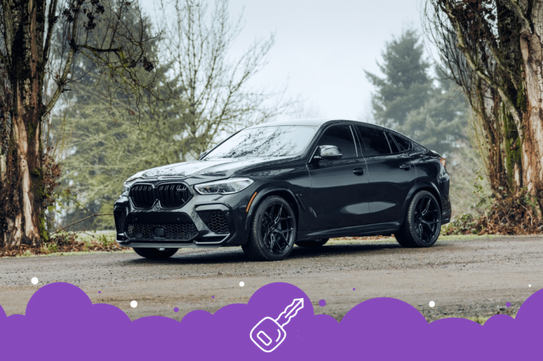 Black bmw x6m parked at farm