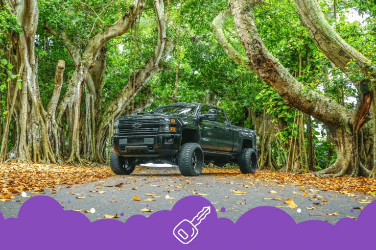 Black Chevy pick up under trees