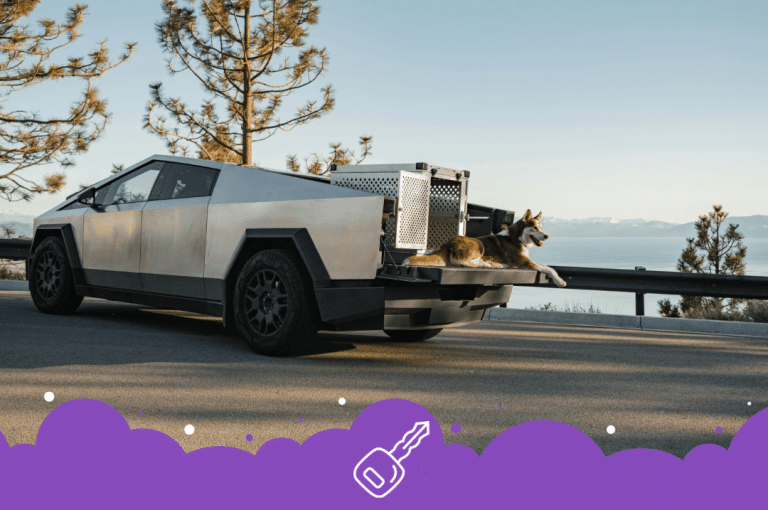 Husky laying in Cybertruck bed beside water