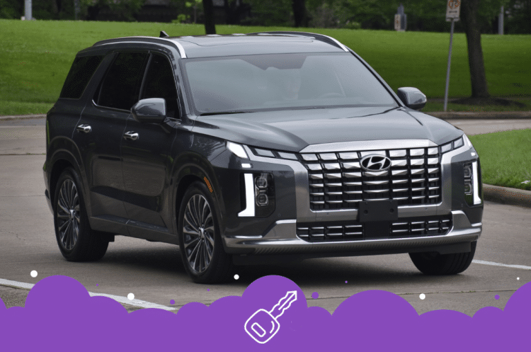 Grey Hyundai palisade driving near park