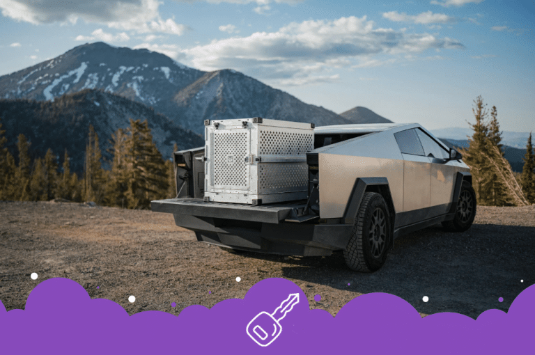 Cybertruck with kennel. In back